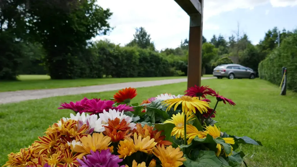 Bak met kleurige bloemen bij het pad op Camping Hollandscheveld