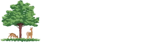 Camping Hollandscheveld