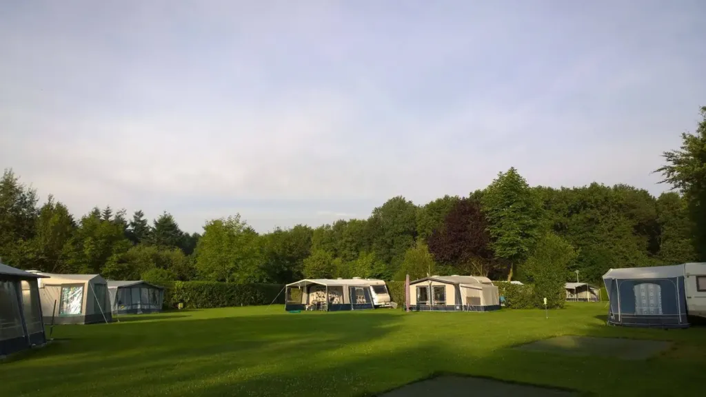 Ruim grasveld met caravans langs de bosrand in Hollandscheveld